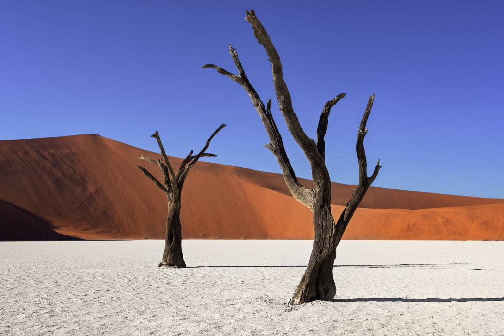 dostoprimechatelnosti-namibii-top-7-samye-jarkie-i-krasivye-mesta-dlja-otdyha-chto-uvidet-i-gde-pobyvat-v-namibii-1e357d0