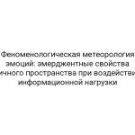 Феноменологическая метеорология эмоций: эмерджентные свойства личного пространства при воздействии информационной нагрузки