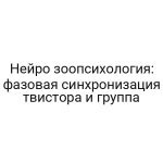 Нейро зоопсихология: фазовая синхронизация твистора и группа